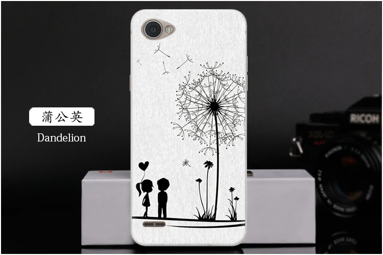  Dandelion