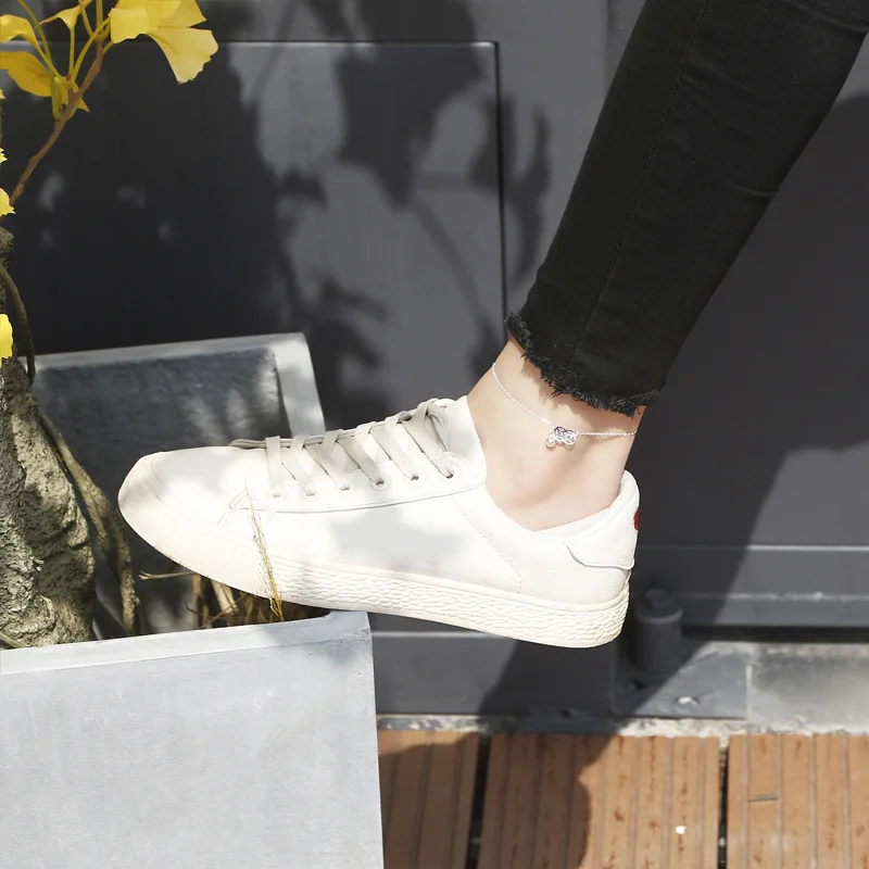 8666848998_1732139996