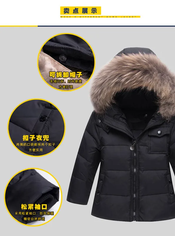 9127538266_1903448628_