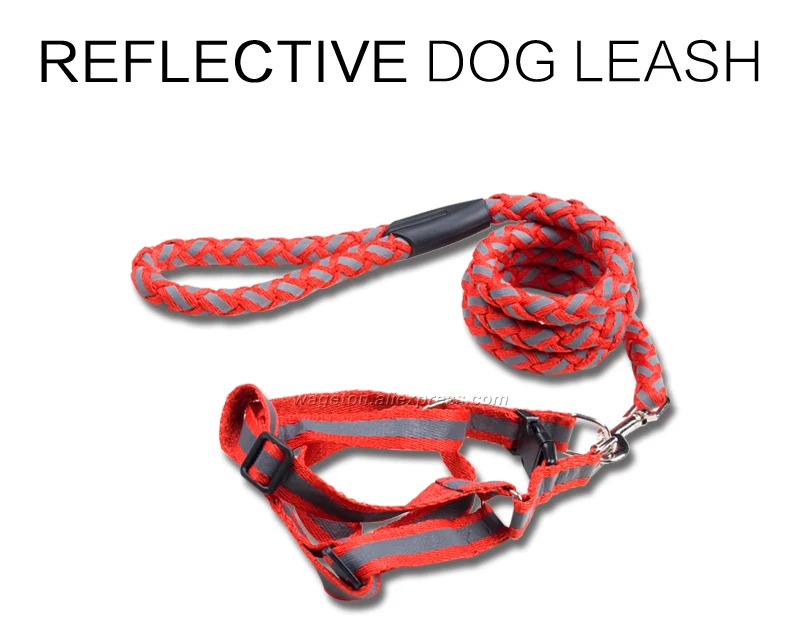 1 dog leash chain 