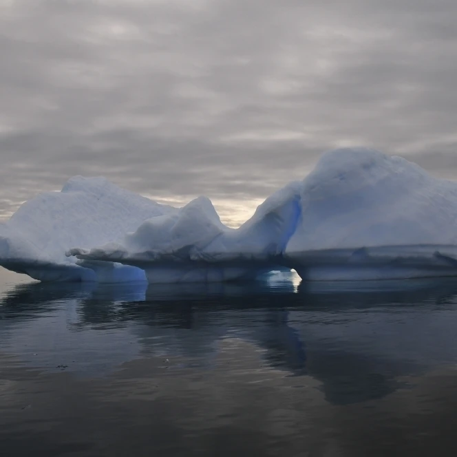Iceberg reflection  Antarctica Poster Print (34 x 22)