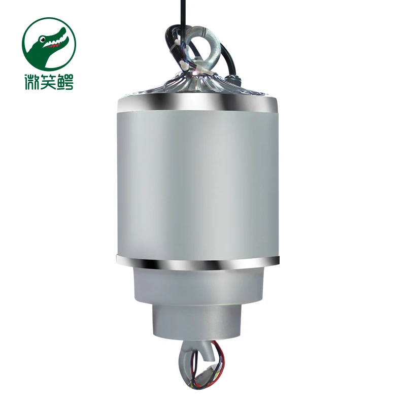 Amzho 10 Kg 12 M Chandelier Lift Remote Control Chandelier Hoist