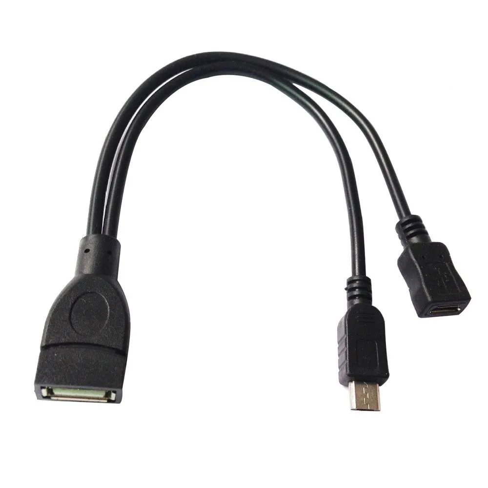 51qRs8laZGL._SL1000_