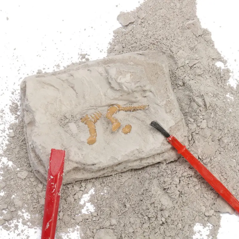 

Dinosaur Excavation Kit Archaeology Dig Up Fossil Skeleton Fun Kids Toy hot sale Excavate a miniature dinosaur skeleton