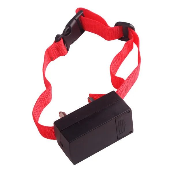 1902992084_2132158769