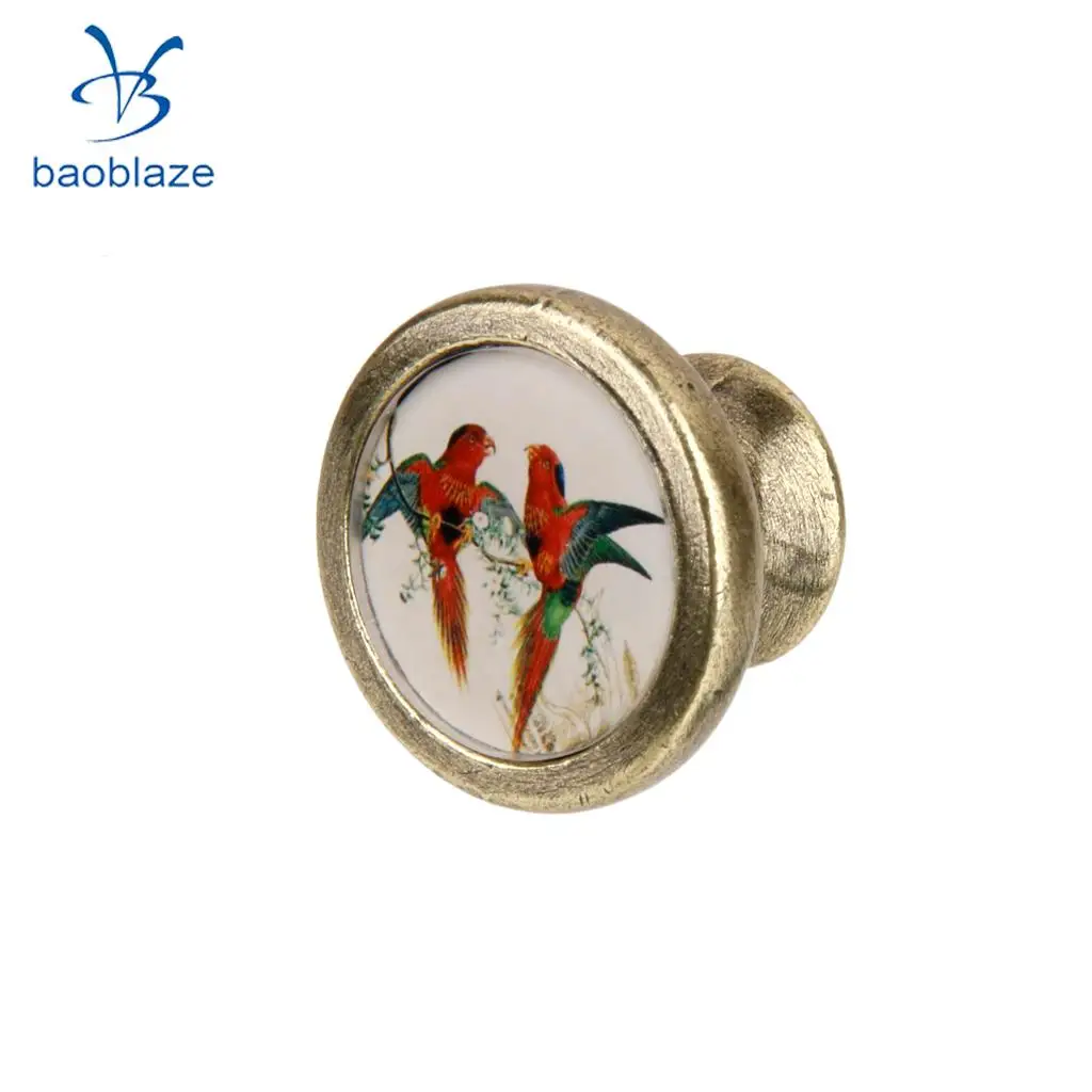 2 Pieces Antique Brass Cabinet Drawer Round Pulls Wardrobe Cabinet Door Cupboard Knob Handle Colorful Birds Pattern