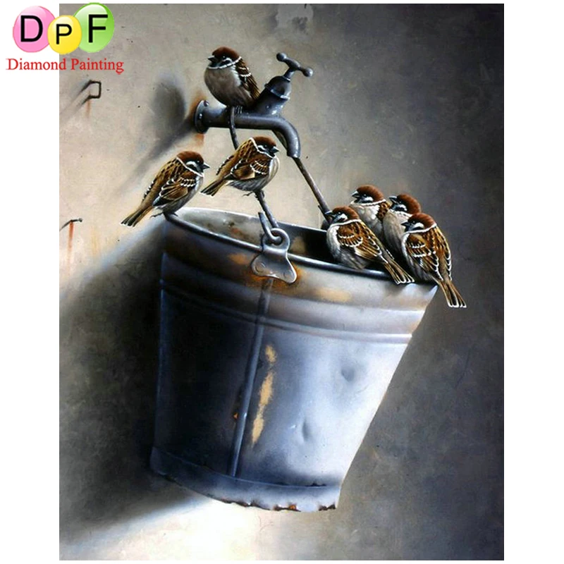  2025 2530 3040  4050 5060