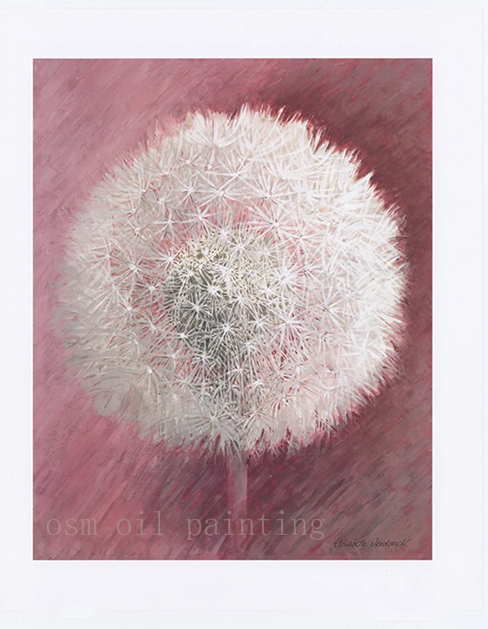 

Print Modern White Dandelion Flower in the Pink Background Canvas Printings Home Decorative Fine Art Spray Painting for House