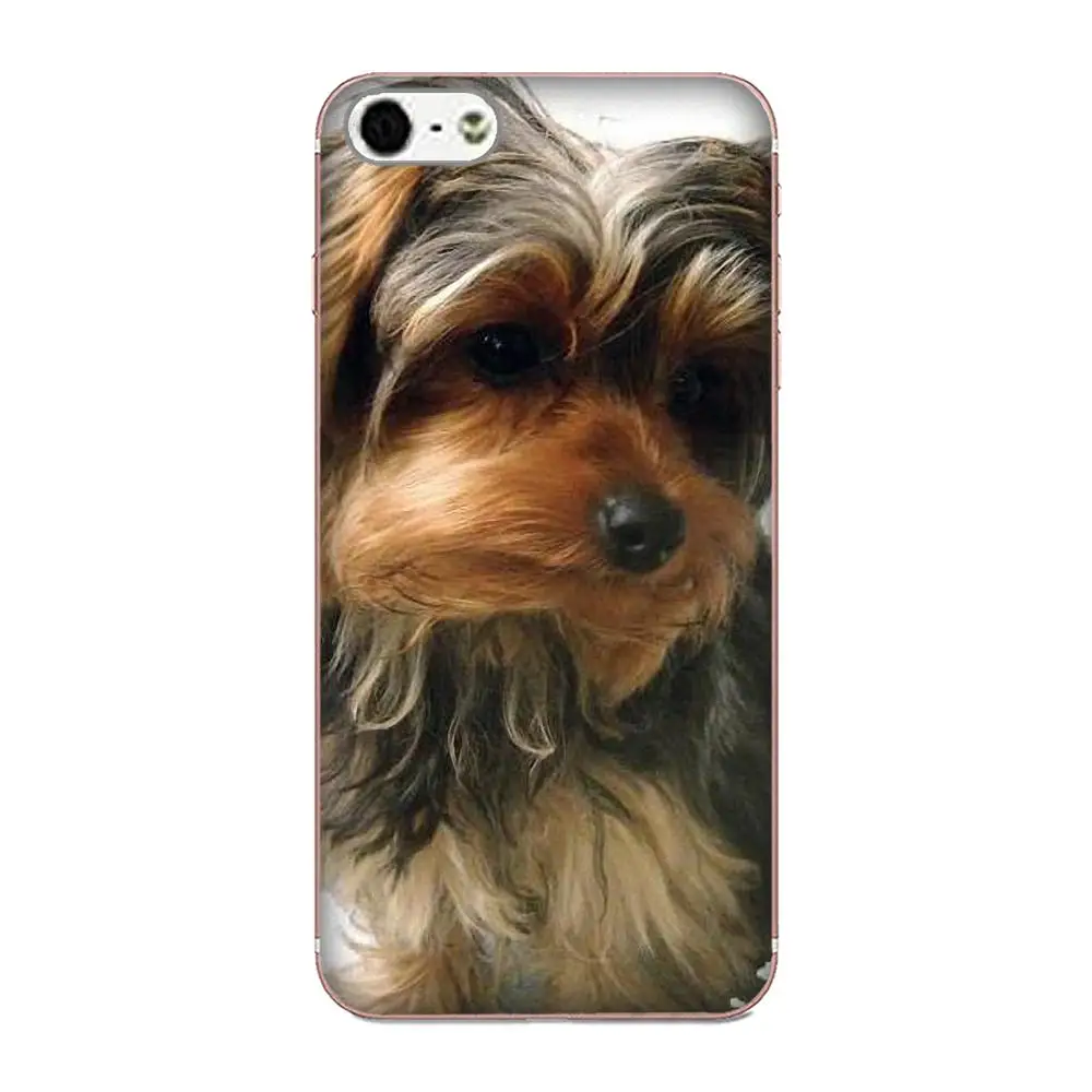 Мягкая арт чехол для samsung Galaxy Note 5 8 9 S3 S4 S5 S6 S7 S8 S9 S10 мини Edge Plus Lite Собака Щенок йоркширского терьера