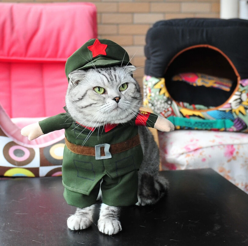 Funny Sailor Policeman Solider Small Cat  Costume Uniform  