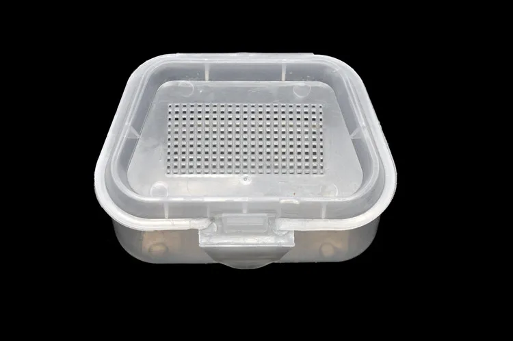 High Quality Breathable Plastic Fishing Live Bait Storage Box Earthworm Worms Bait Container Box