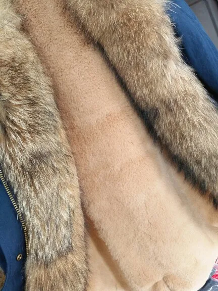 66