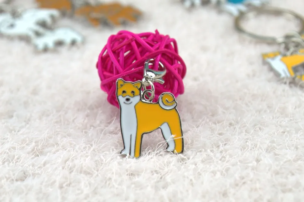 aeProduct.getSubject()