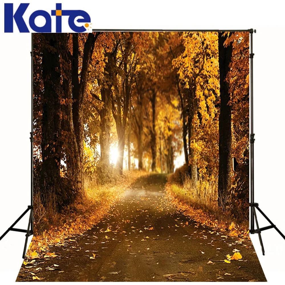 

300Cm*200Cm(About 10Ft*6.5Ft)T Background Falling Leaves Woods Photography Backdropsthick Cloth Photography Backdrop 3225 Lk