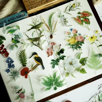 

KSCRAFT Flowers And Birds Illustration Vellum Paper Stickers for Scrapbooking Happy Planner/Card Making/Journaling Project