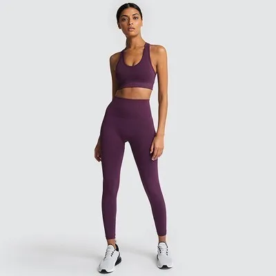 Бесшовный Набор для йоги одежда 2 шт. женский спортивный костюм женский фитнес бесшовный набор тренировки Спортивная одежда для женщин тренажерный зал - Цвет: Dark Purple Yoga Set
