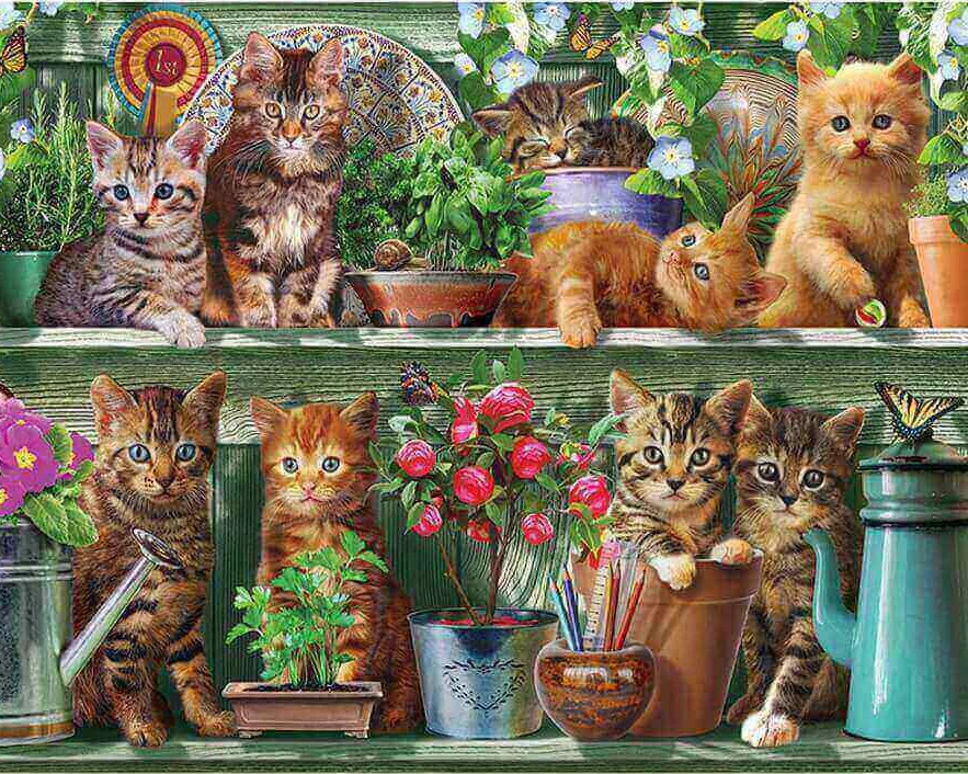 cat-shelf1_1024x1024@2x