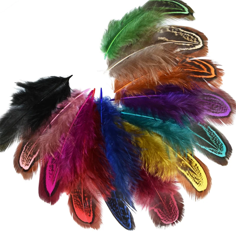 

Retail 24 pcs 4-8cm Rare Precious Party Decorative Multi-colour Pheasant Plume Feather Natural Feathers for Home Decor IF12