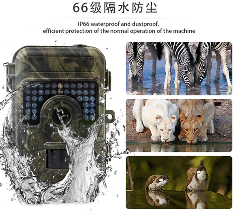 Hunting camera (15)