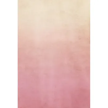 

Free shipping light pink newborn baby Customized computer Printed vinyl photography background for photo studio