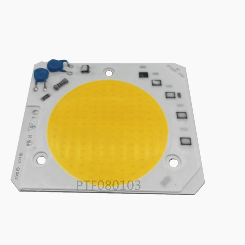 50W 220V Warm White IP65 Floodlight High Power Integrated LED COB Chip 50W 220V Matrix LED Spotlight DIY Flood Light Outdoor Str