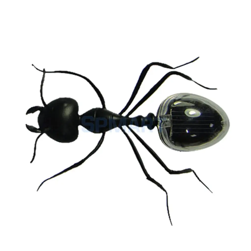 Популярные солнечные муравьи Новинка Солнечные насекомые модели животных дети играть и узнать развивающие солнечные игрушки для детей подарок