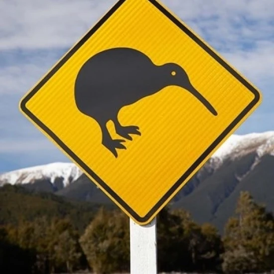 New Zealand  South Island  Road Sign  St Arnaud Range Poster Print by David Wall (11 x 17)