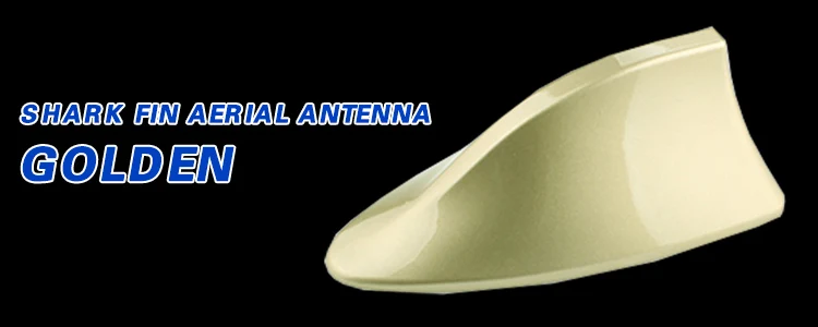 NBling07FBT_02