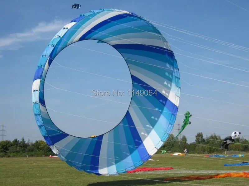 Beautiful kite festival display chinese dragon kite traction kite fish power kite3 line kite accessories hcxkite factory produce Wholesale Toys & Hobbies