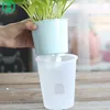 Garden Supplies