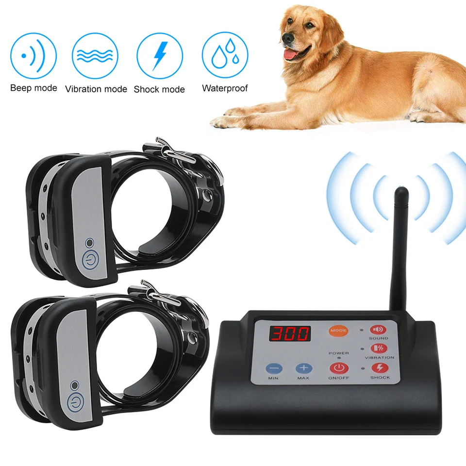 intelligent 2 in 1 dog training