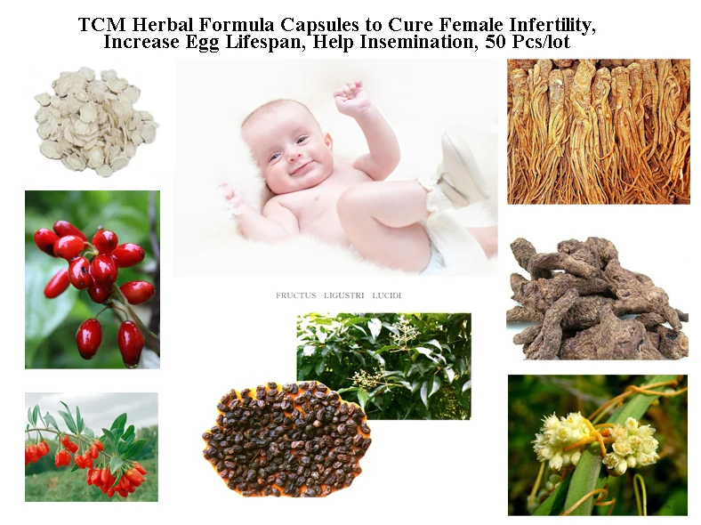 

Formula for Woman to Get Pregnant, Promote Ovulation, Extend Egg Life Spam, Change Womb PH for Better Insemination Rate
