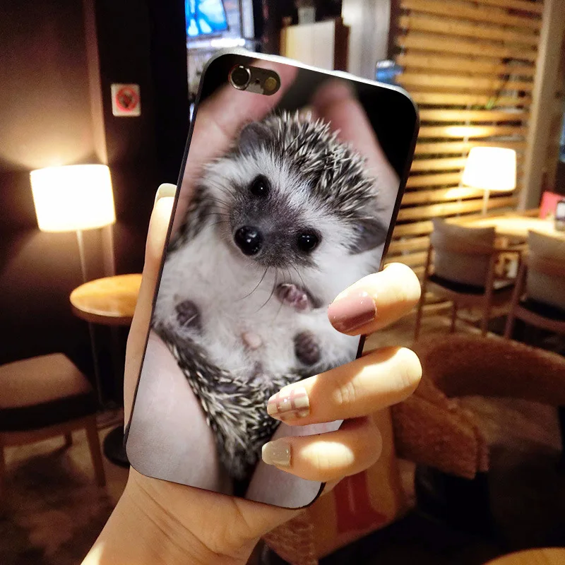 MaiYaCa животный детский Ежик Топ детальный популярный чехол для телефона iPhone 8 7 6 6S