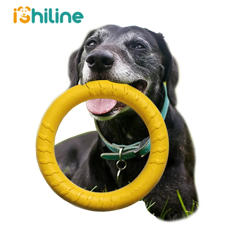 الكلب لعب المطاط إحضار القرص الطائر الحيوانات الأليفة التدريب الكرة مع حبل جلب تحلق أقراص مضغ لعبة الحيوانات الأليفة لعبة للكلاب جرو الكلب لعب المطاط إحضار القرص الطائر الحيوانات الأليفة التدريب الكرة مع حبل جلب تحلق أقراص مضغ لعبة الحيوانات الأليفة لعبة للكلاب جرو