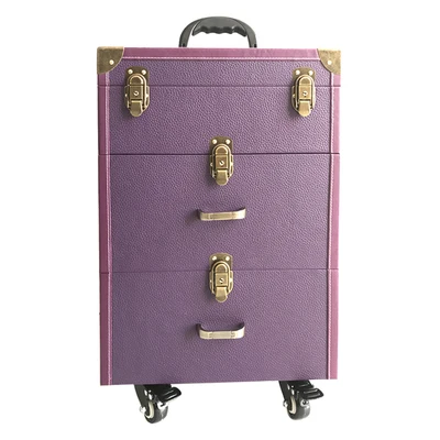 Косметички с колесиком, гвозди чемодан для макияжа на колесах с прокаткой, коробка для красоты, ящик для инструментов, багаж для путешествий, 2" дюймовый каюта чемодан - Цвет: purple A