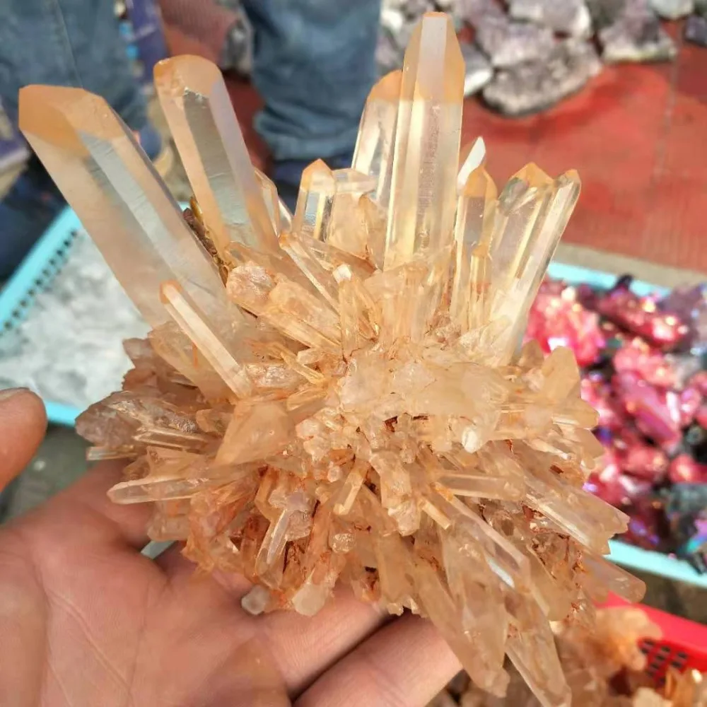 _20190310154828