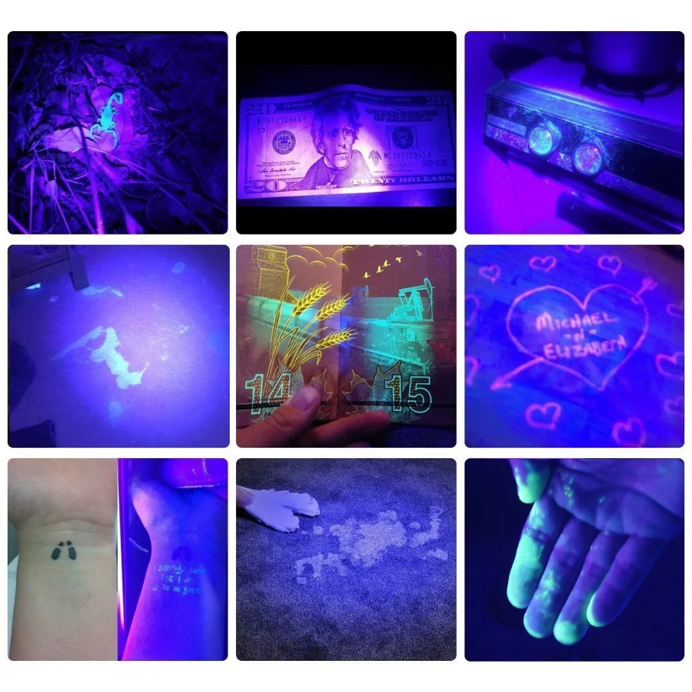 KHLITEC-Uv-Led-Flashlight-51-Leds-395nm-Ultra-Violet-Torch-Light-Lamp-Blacklight-Detector-for-Dog-Urine-Pet-Stains-and-Bed-Bug(6)