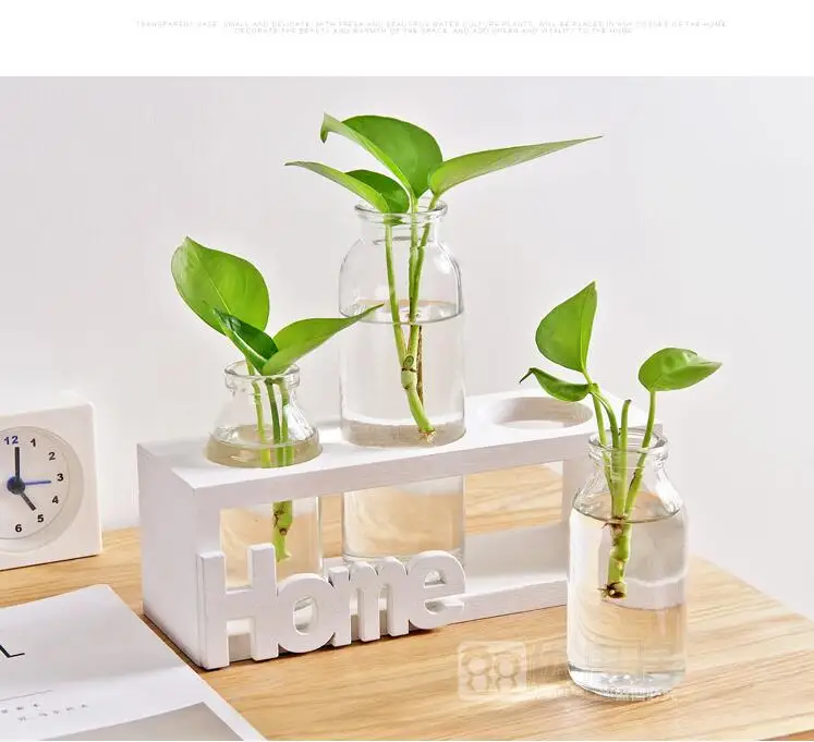 Креативная гидропонная ваза, стеклянные зеленые бутылки для хранения растений, настольные Цветочные банки, декоративные украшения