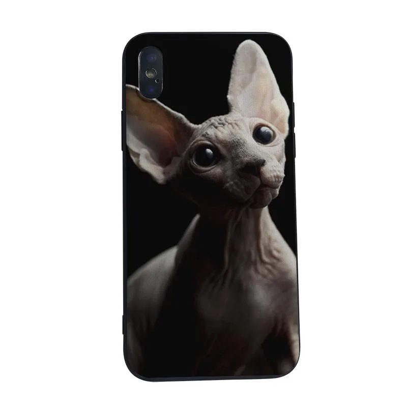 Чехол для телефона MaiYaCa Black sphynx cat чехол iPhone 8 7 6 6S Plus X XS MAX 5C 5 5S SE XR 10|Чехлы-накладки| |