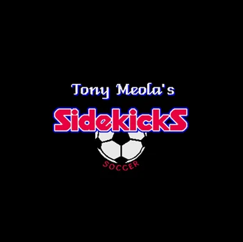 

Tony Meola's Sidekicks Soccer NTSC Version 16 Bit 46 Pin Big Gray Game Card For USA Game Players