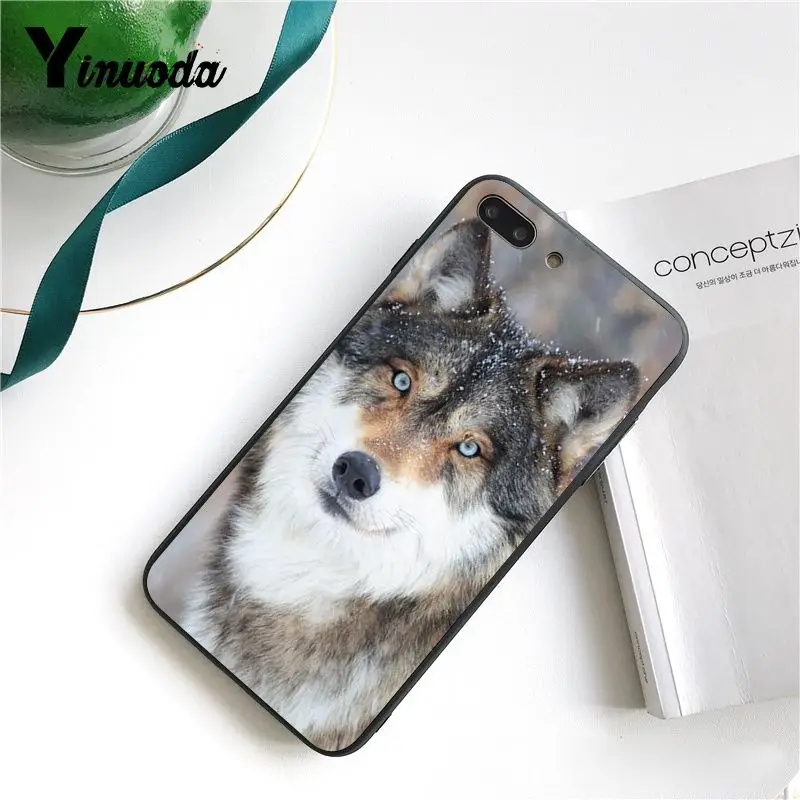 Cool Wolf (6)