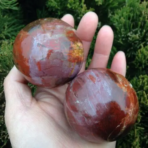 490-500gNatural polishing petrified wood fossil, hand playing ball, fitness ballM A11