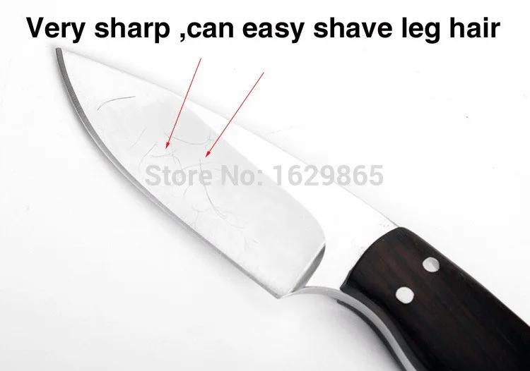 HTB1FVdcRpXXXXa2XXXXq6xXFXXXH