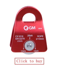 GM1043
