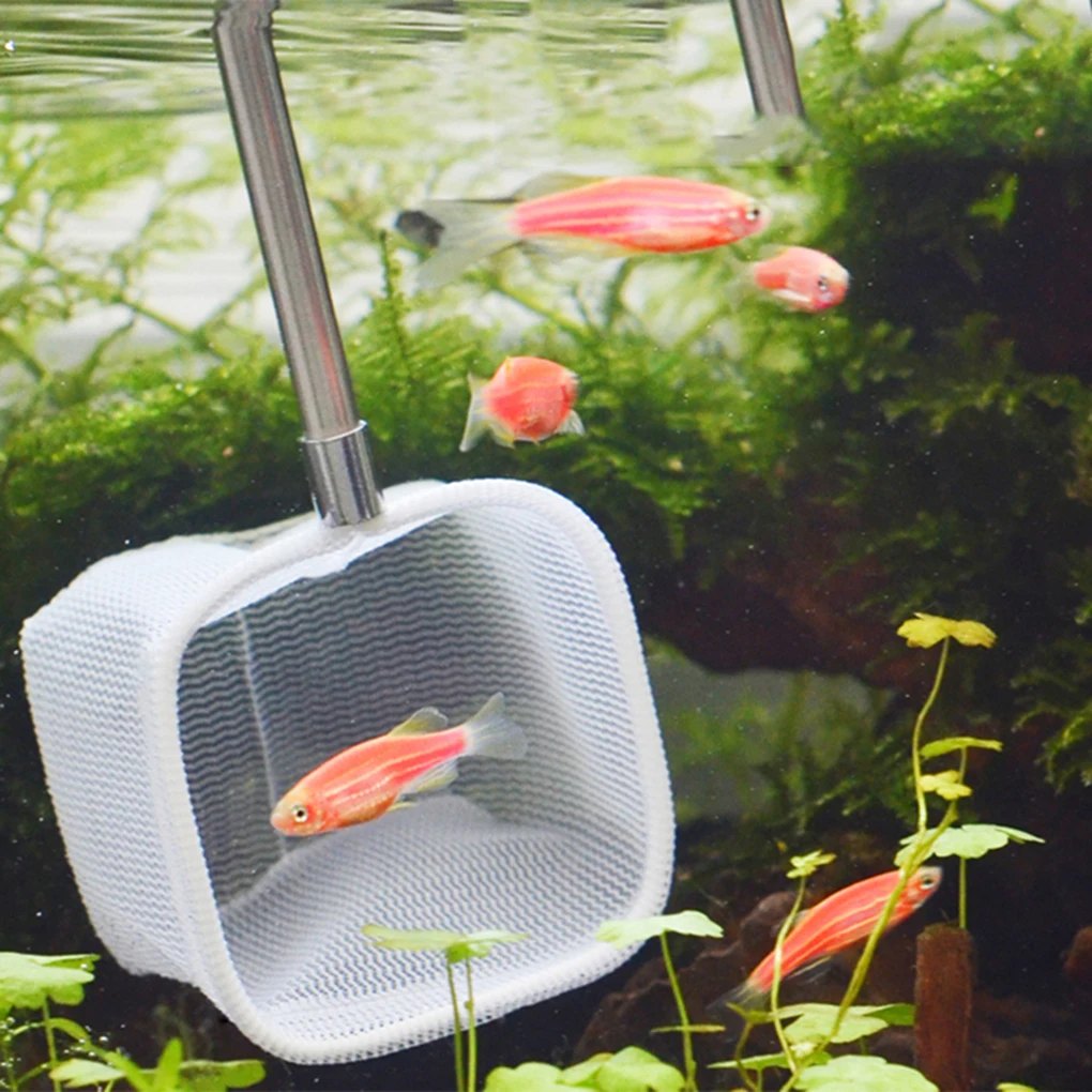 Extendable 3D Aquarium Net for Shrimp Tetra Betta Fish Tank Catch Handle small