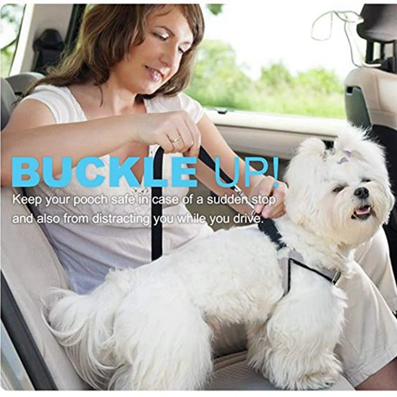 Vehicle-Pet-Dog-Carrier-Leash-Cat-Leashes-Belts-Dogs-Product-Puppies-Supplies-Puppy-Dog-Cats-Accessories (1)
