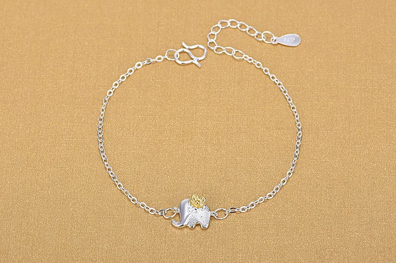 4103704489_687529415