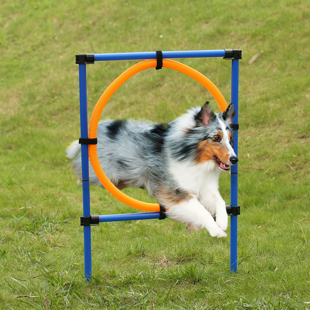 Outdoor Training Equipment Pet Dog Agility Exercise Sports Obedience