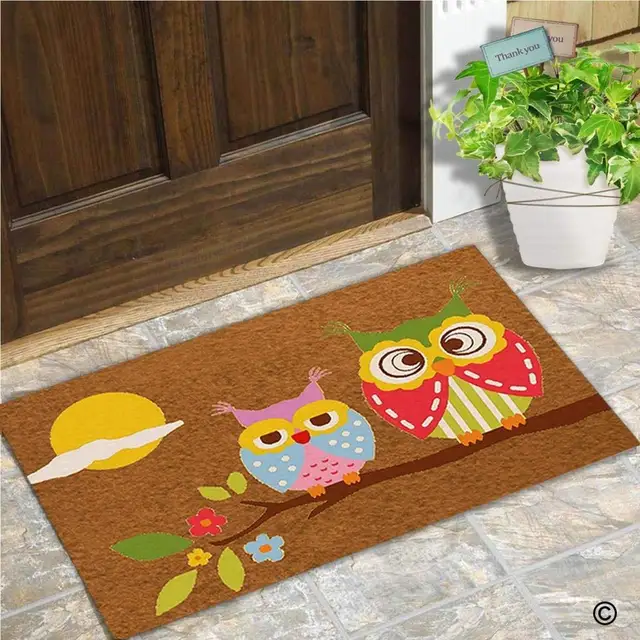 Funny Door Mat Entrance Front Door Mat Owl Home Doormat Indoor Outdoor