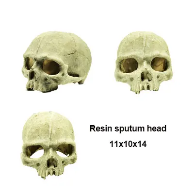 Пиратский динозавр ужас череп голова декор смолы старый Ландшафтный аквариум украшения DIY ретро моделирование аквариума аксессуары